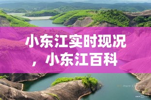 小东江实时现况,小东江百科