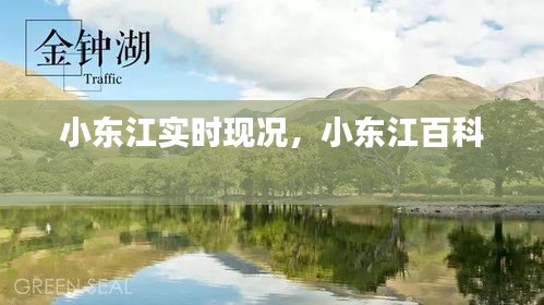小东江实时现况,小东江百科