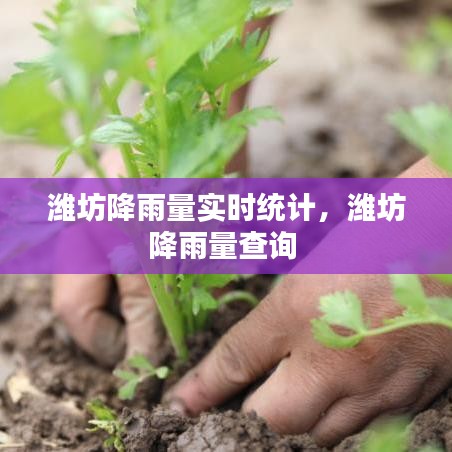 潍坊降雨量实时统计,潍坊降雨量查询