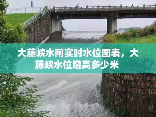 大藤峡水闸实时水位图表,大藤峡水位增高多少米