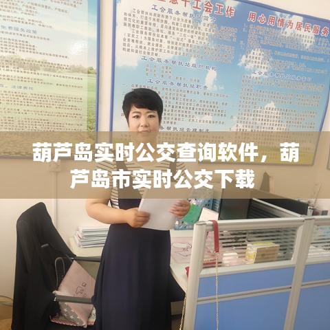 葫芦岛实时公交查询软件,葫芦岛市实时公交下载