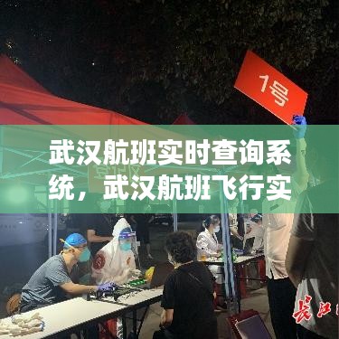 武汉航班实时查询系统,武汉航班飞行实时