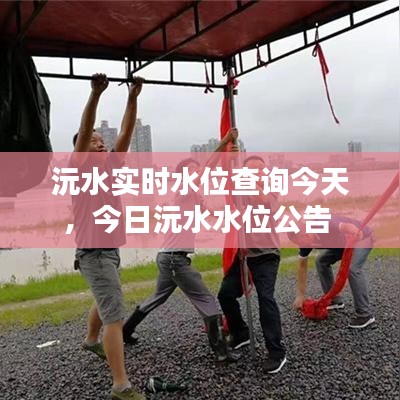 沅水实时水位查询今天,今日沅水水位公告