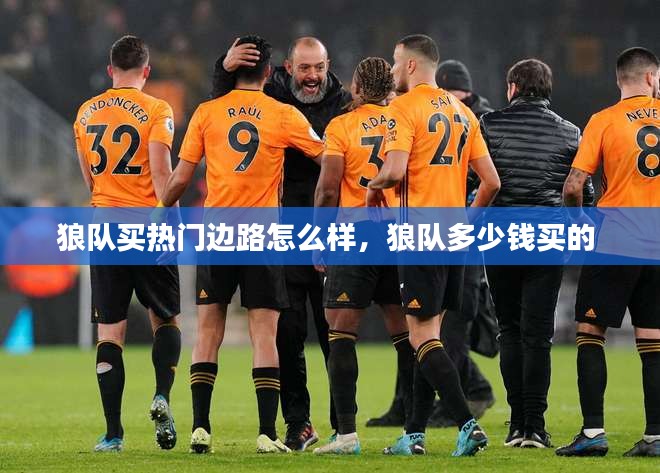 狼队买热门边路怎么样,狼队多少钱买的