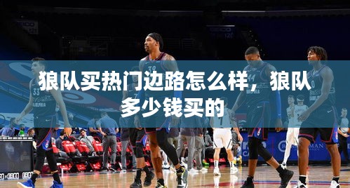 狼队买热门边路怎么样,狼队多少钱买的