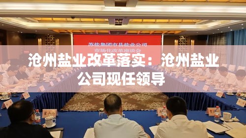 沧州盐业改革落实:沧州盐业公司现任领导