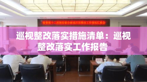 巡视整改落实措施清单:巡视整改落实工作报告