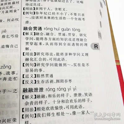 成语字典哪个版本好,安全执行策略|Lite_v8.570