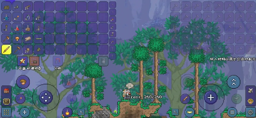 泰拉瑞亚官方下载,综合解答解释定义|模拟版1_v10.231