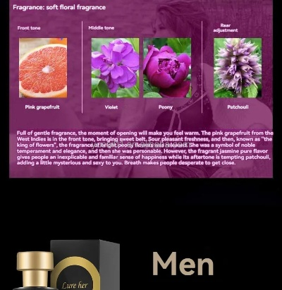 毒物版本,持久方案设计-静态版_v1.646