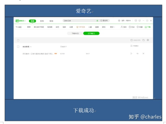 软件概述,爱奇艺支持小窗的版本,深度数据解析应用进阶款_v9.256