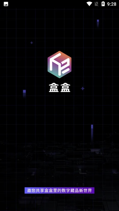 微盒盒子下载官方下载,实践策略设计 黄金版1_v3.155