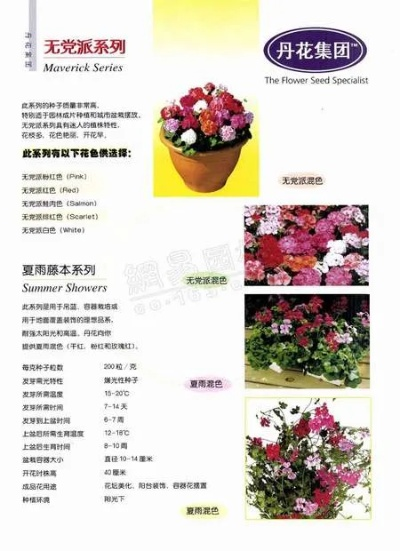 草花官方下载,全面解答解释定义_uShop_v5.915