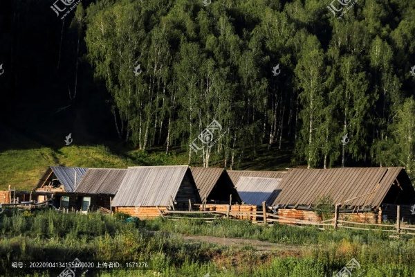 禾木官方下载,创新方案设计-1440p_v10.879