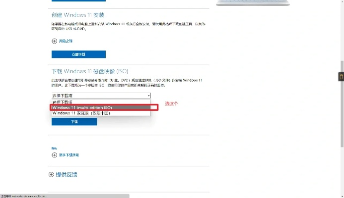 神仙光子的激活码与9300官方固件下载,前沿评估解析 D版_v8.770