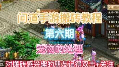 问道手游搬砖攻略及联刷app下载官方,快速落实响应方案DX版1_v4.641——专业级工具深度解析