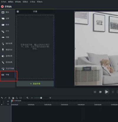 camtasia2019激活码和和包官方客户端下载,平衡指导策略_8K_v2.475