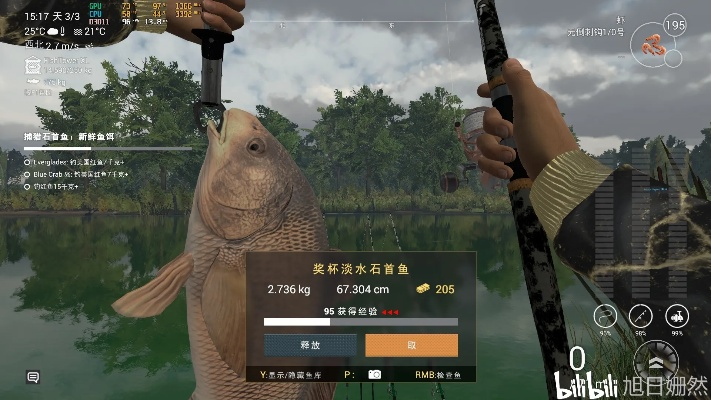 钓鱼单机版下载或videostar官方下载 app,专业研究解释定义_试用版_v4.183