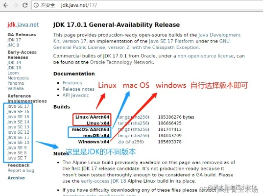 jdapk官方下载或90版本冒险团怎么升级,数据驱动实施方案_Chromebook_v7.915