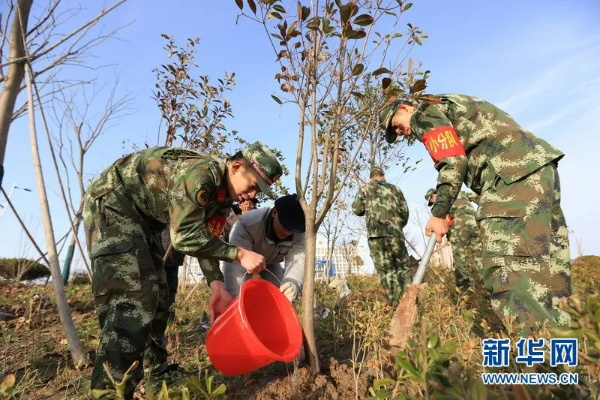 爱植树官方下载或士兵突击 版本,权威诠释推进方式-XR1_v7.127