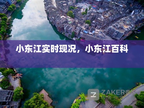 小东江实时现况，小东江百科 