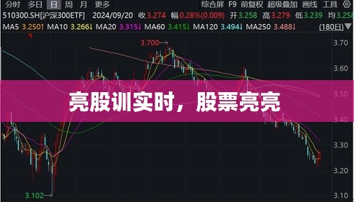 亮股训实时,股票亮亮