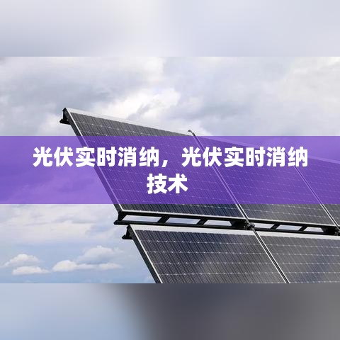光伏实时消纳,光伏实时消纳技术
