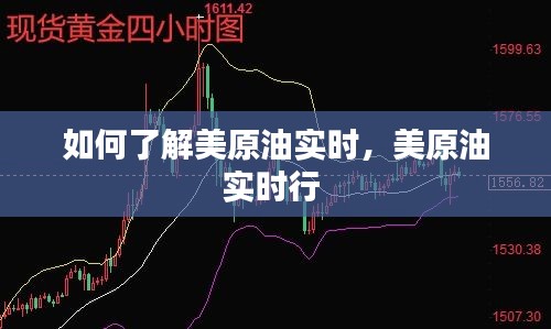 如何了解美原油实时,美原油实时行