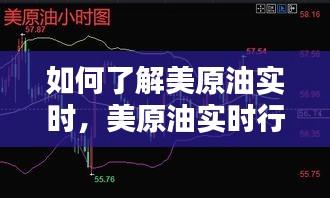 如何了解美原油实时,美原油实时行