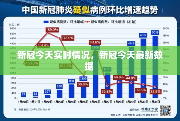 新冠今天实时情况,新冠今天最新数据