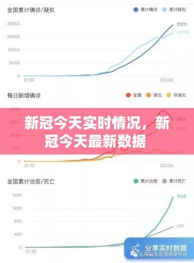 新冠今天实时情况,新冠今天最新数据