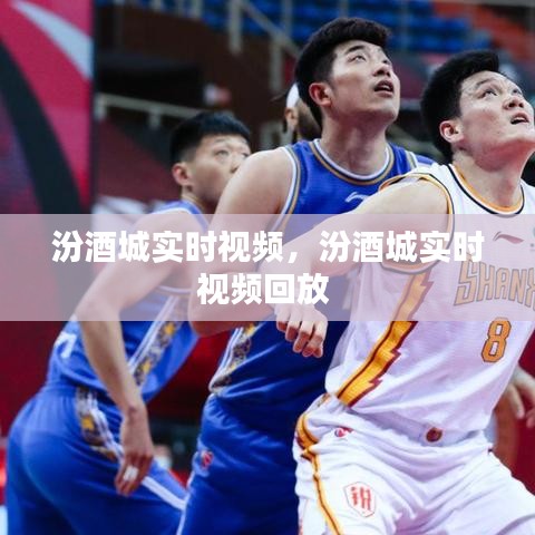 汾酒城实时视频,汾酒城实时视频回放