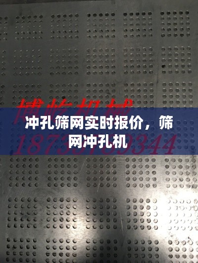 冲孔筛网实时报价,筛网冲孔机