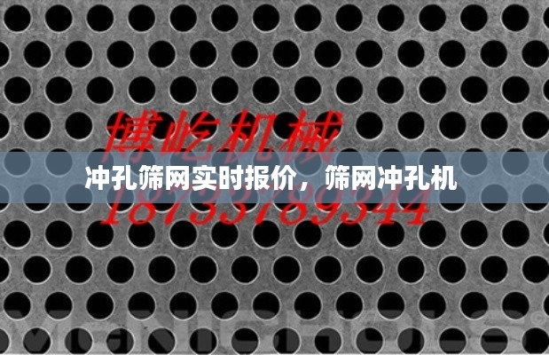 冲孔筛网实时报价,筛网冲孔机