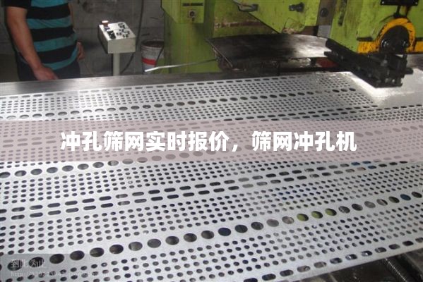冲孔筛网实时报价,筛网冲孔机