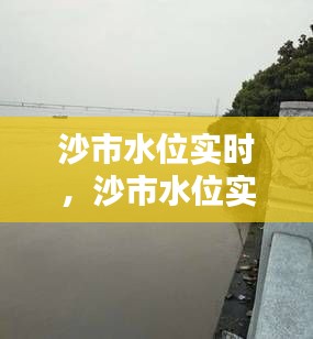 沙市水位实时,沙市水位实时查询