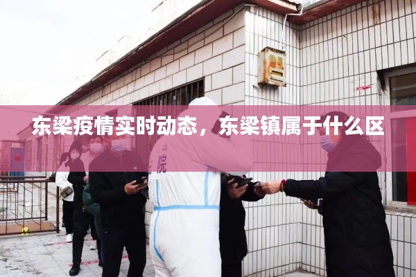 东梁疫情实时动态,东梁镇属于什么区