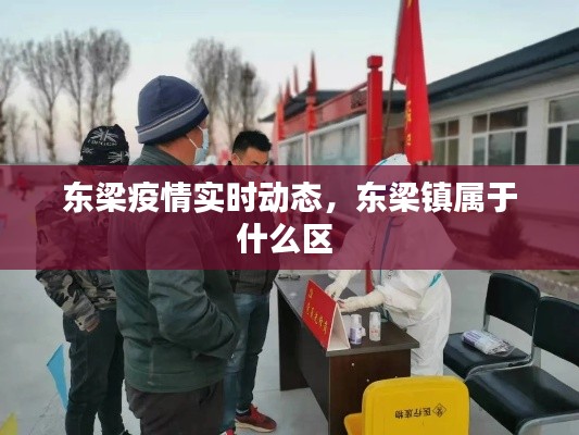 东梁疫情实时动态,东梁镇属于什么区