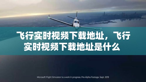 飞行实时视频下载地址,飞行实时视频下载地址是什么