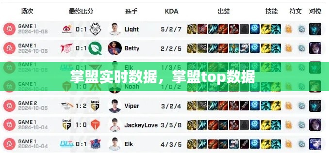 掌盟实时数据,掌盟top数据