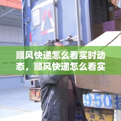 顺风快递怎么看实时动态,顺风快递怎么看实时动态信息