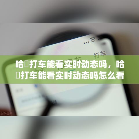 哈啰打车能看实时动态吗,哈啰打车能看实时动态吗怎么看