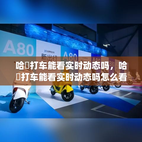 哈啰打车能看实时动态吗,哈啰打车能看实时动态吗怎么看