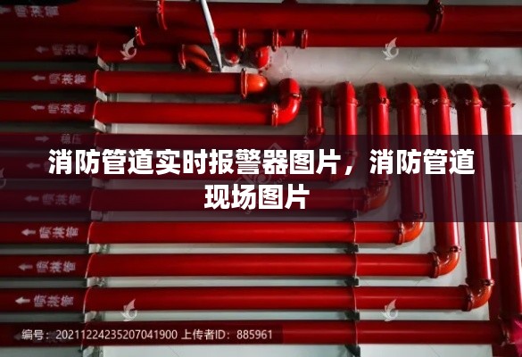 消防管道实时报警器图片,消防管道现场图片