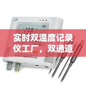 实时双温度记录仪工厂,双通道温度记录仪