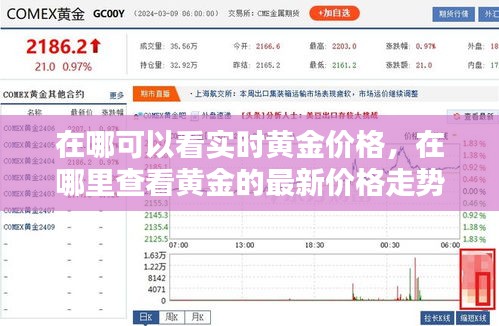 在哪可以看实时黄金价格,在哪里查看黄金的最新价格走势