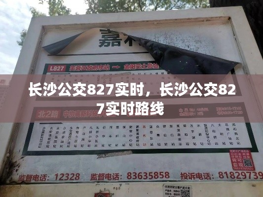 长沙公交827实时,长沙公交827实时路线