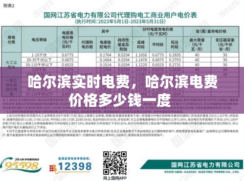 哈尔滨实时电费,哈尔滨电费价格多少钱一度