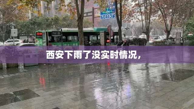 西安下雨了没实时情况,