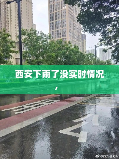 西安下雨了没实时情况,